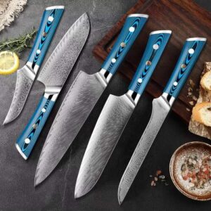 Damascus 67 Layer aoi 5 piece chef knives set